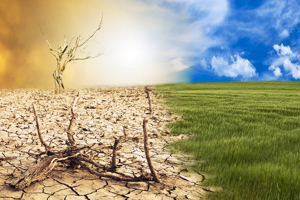 17 GIUGNO – Giornata mondiale contro la desertificazione