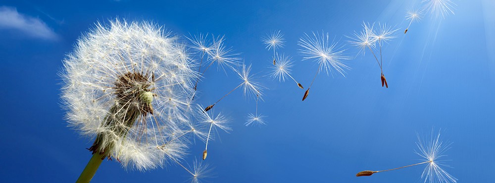 Domenica di Pentecoste “PIÙ LO SPAZIO È VUOTO PIÙ IL VENTO PUÒ CIRCOLARE.